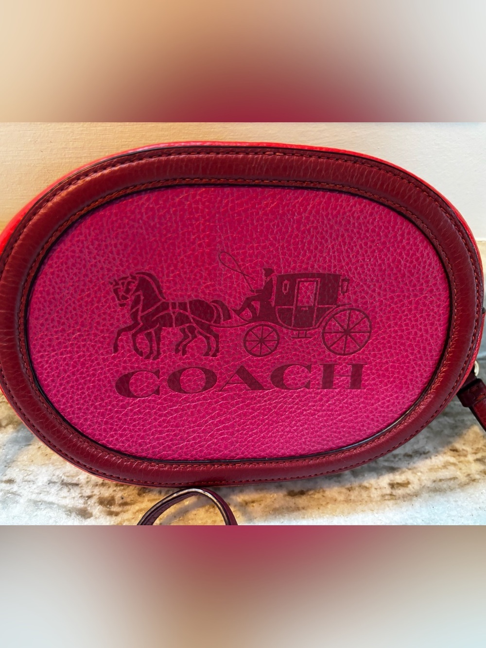 Coach Camera Bag In Colorblock With Horse And Carriage C5777